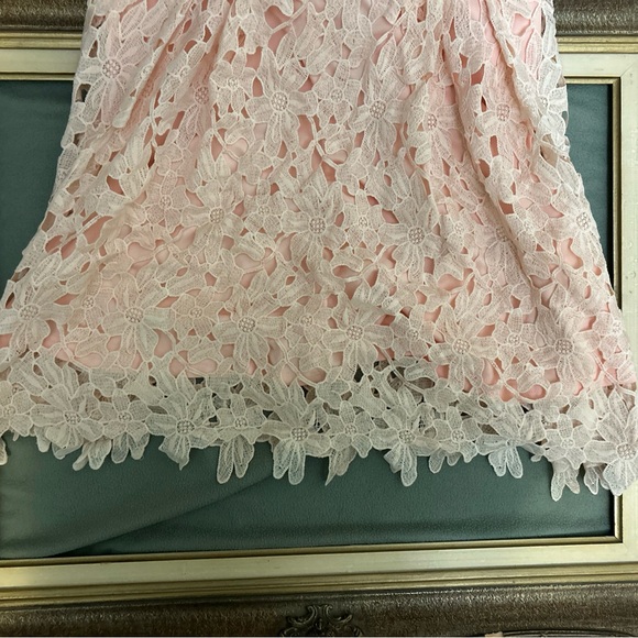 Pink Lace Strapless Dress - Picture 6 of 6